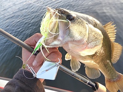 truth news ブログ写真 2013/10/11