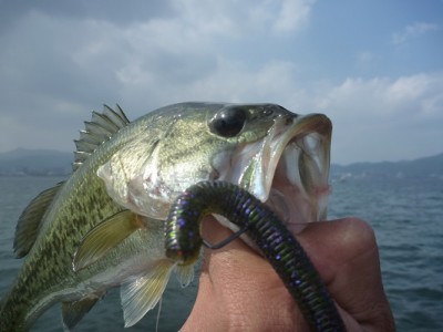 truth news ブログ写真 2013/10/12