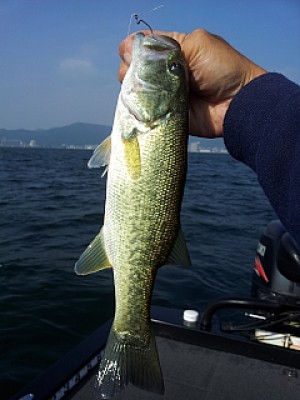 truth news ブログ写真 2013/10/13