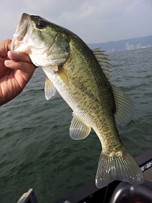 truth news ブログ写真 2013/10/13