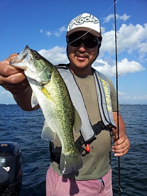 truth news ブログ写真 2013/10/13