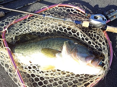 truth news ブログ写真 2013/10/13