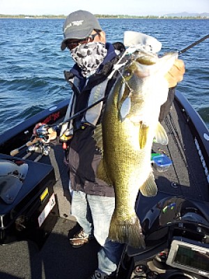 truth news ブログ写真 2013/10/13