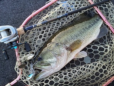 truth news ブログ写真 2013/10/13