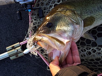 truth news ブログ写真 2013/10/13