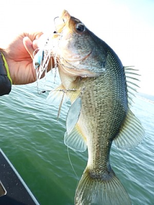 truth news ブログ写真 2013/10/14