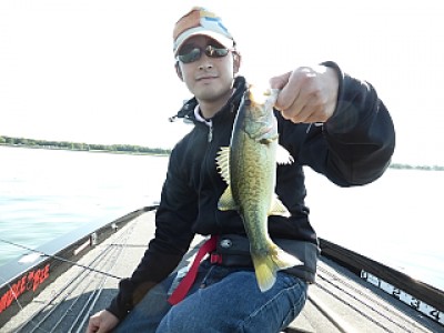 truth news ブログ写真 2013/10/14