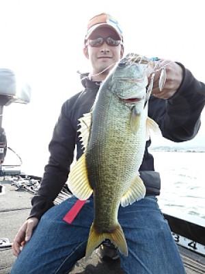 truth news ブログ写真 2013/10/14