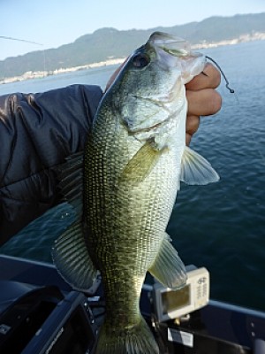 truth news ブログ写真 2013/10/15