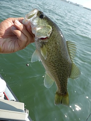 truth news ブログ写真 2013/10/15