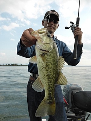 truth news ブログ写真 2013/10/15