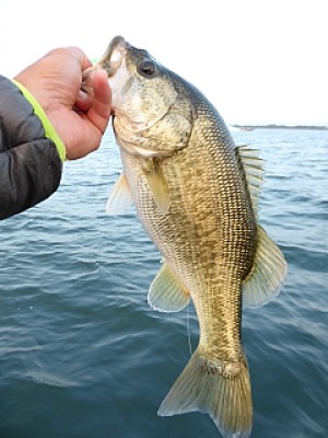 truth news ブログ写真 2013/10/15