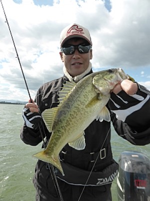 truth news ブログ写真 2013/10/18