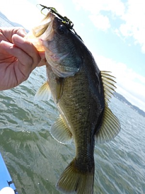 truth news ブログ写真 2013/10/18