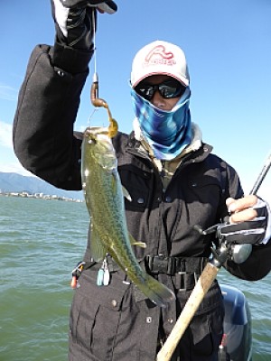 truth news ブログ写真 2013/10/18