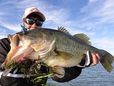 truth news ブログ写真 2013/10/18