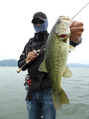 truth news ブログ写真 2013/10/19