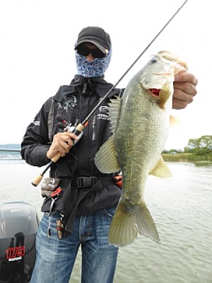 truth news ブログ写真 2013/10/19