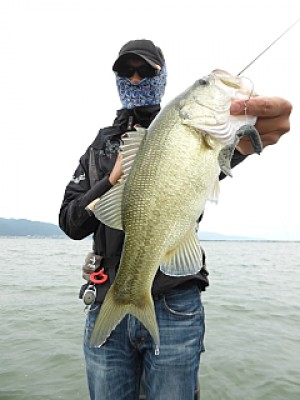 truth news ブログ写真 2013/10/19