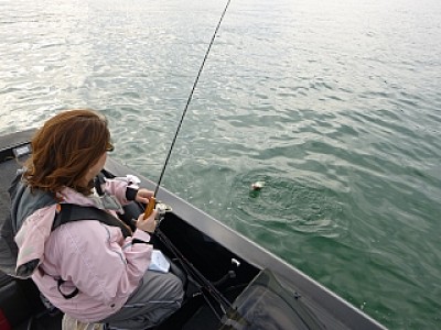 truth news ブログ写真 2013/10/20