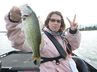 truth news ブログ写真 2013/10/20