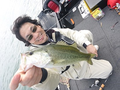 truth news ブログ写真 2013/10/20