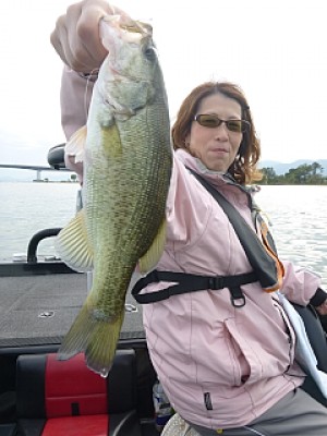 truth news ブログ写真 2013/10/20