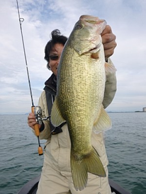 truth news ブログ写真 2013/10/20