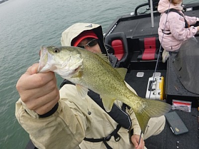 truth news ブログ写真 2013/10/20