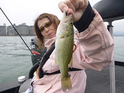 truth news ブログ写真 2013/10/20