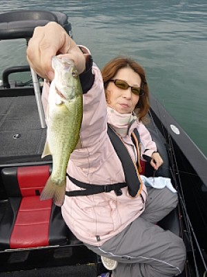 truth news ブログ写真 2013/10/20