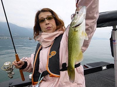 truth news ブログ写真 2013/10/20