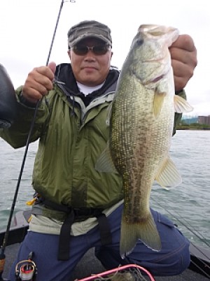 truth news ブログ写真 2013/10/21