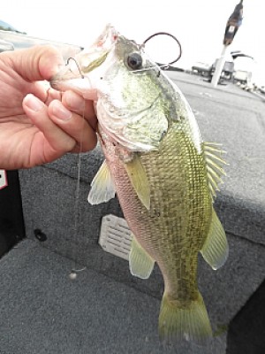 truth news ブログ写真 2013/10/22