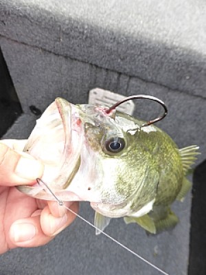 truth news ブログ写真 2013/10/22