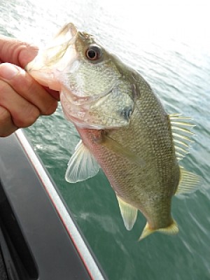 truth news ブログ写真 2013/10/22