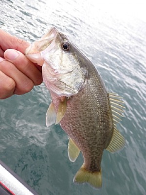 truth news ブログ写真 2013/10/22