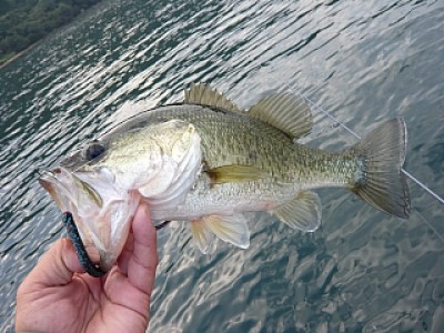 truth news ブログ写真 2013/11/01