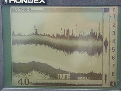 truth news ブログ写真 2013/11/01