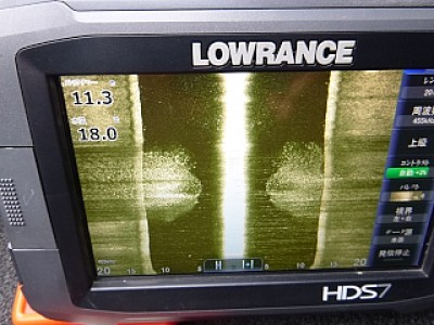 truth news ブログ写真 2013/11/01