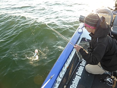 truth news ブログ写真 2013/11/01