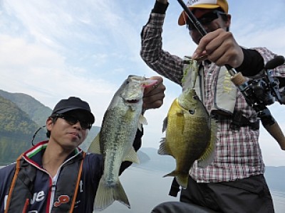 truth news ブログ写真 2013/11/02