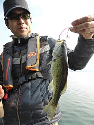 truth news ブログ写真 2013/11/02