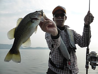 truth news ブログ写真 2013/11/02