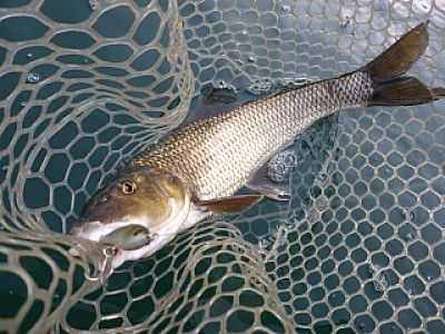 truth news ブログ写真 2013/11/02