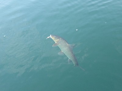 truth news ブログ写真 2013/11/02