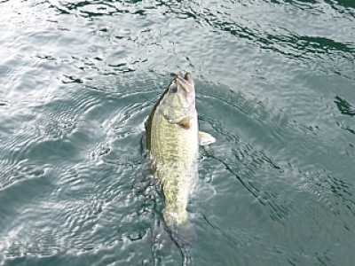 truth news ブログ写真 2013/11/02