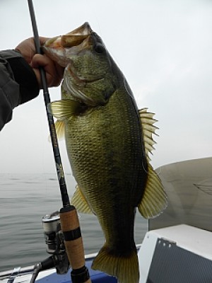 truth news ブログ写真 2013/11/04