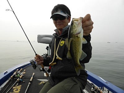 truth news ブログ写真 2013/11/04