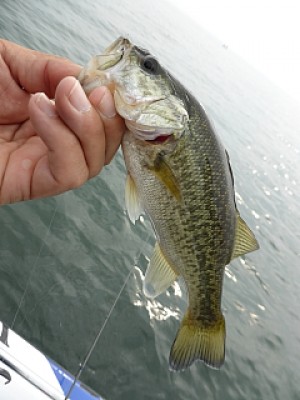 truth news ブログ写真 2013/11/04